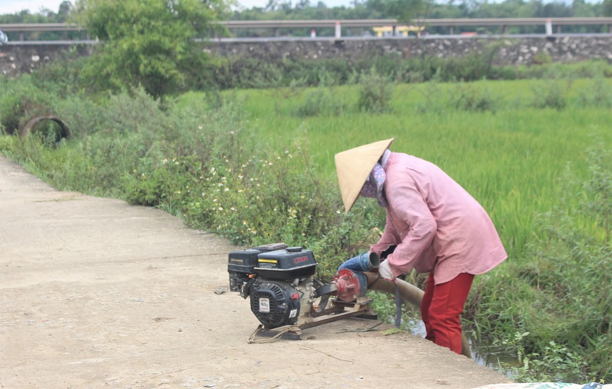 Một số người dân nông thôn vẫn ra đồng làm đồng áng.