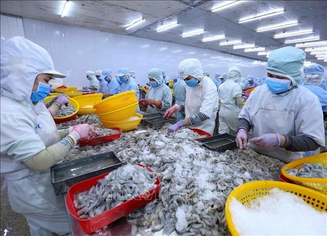 Doanh nghiệp mong đợi hỗ trợ để phục hồi và phát triển sản xuất.