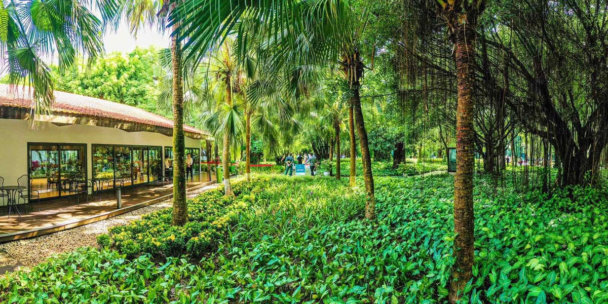 ”Nhà mẫu Sky Oasis được xây dựng trong công viên Mùa Xuân với không gian tràn ngập cây xanh. Tại khu đô thị này, tất cả các công trường xây dựng, nhà mẫu hay văn phòng đều được bao quanh bởi các rừng cây rộng mênh mông. Đây là điểm đặc biệt tại Ecopark mà không có bất cứ khu đô thị nào có được” - Chị Nguyễn Linh, một khách hàng thân quen của Ecopark cho biết.