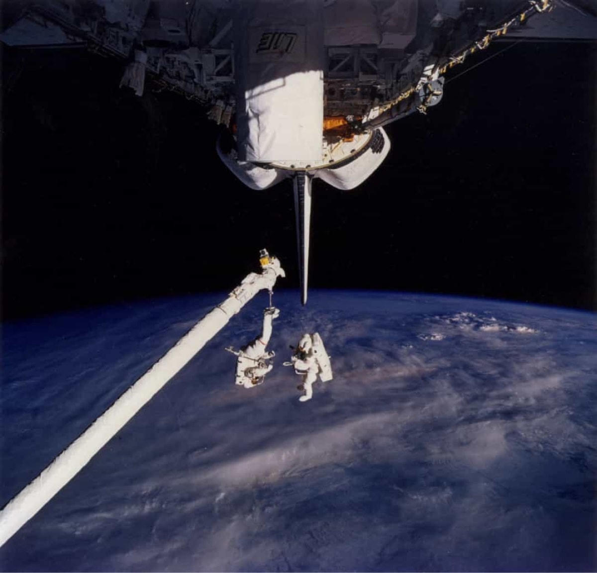 Thực vật cũng có thể sinh trưởng trên ISS, chẳng hạn như cây hoa cúc ngũ sắc này.