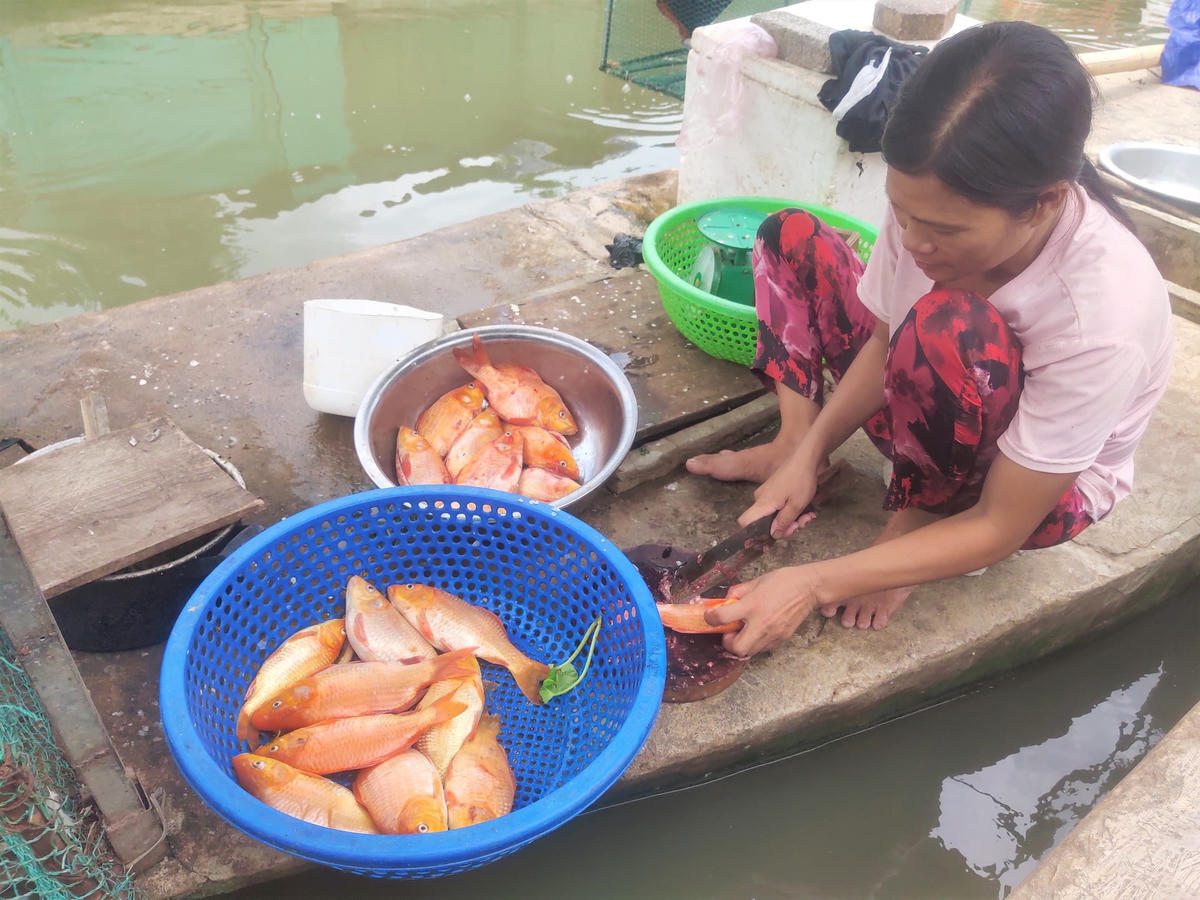 Do phải mua nước sạch với giá đắt đỏ nên việc chế biến cá, giặt giũ, tắm rửa…. đều phải dùng nguồn nước sông ô nhiễm.