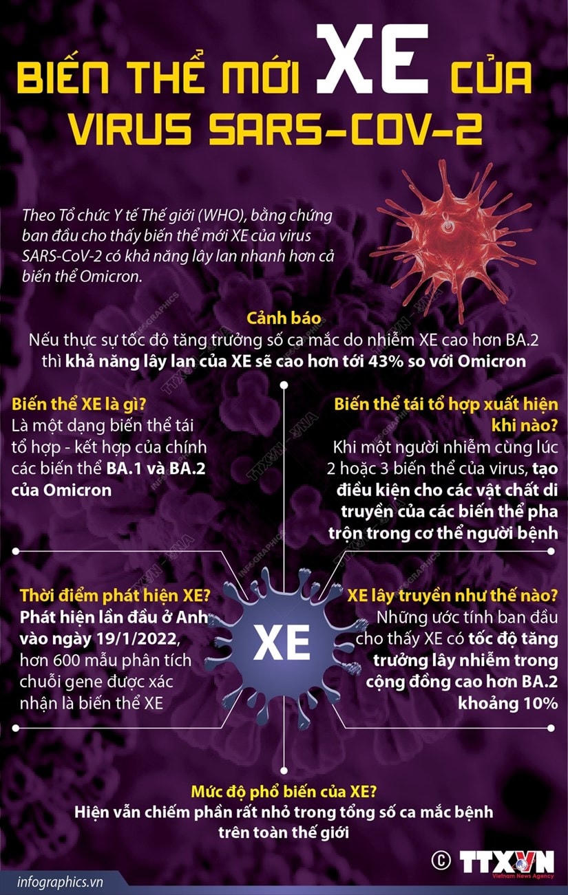 [Infographics] Biến thể mới XE của virus SARS-CoV-2