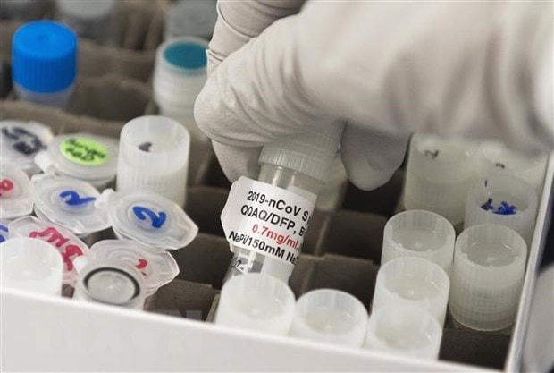 Vaccine phòng Covid-19 do công ty dược phẩm Novavax Inc của Mỹ phát triển. (Ảnh: AFP/TTXVN).