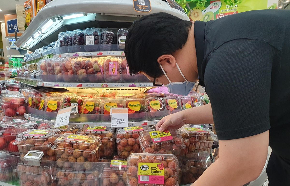 Những trái vải thiều Việt Nam chinh phục khách hàng Singapore. (Ảnh: Lê Dương/Vietnam+).