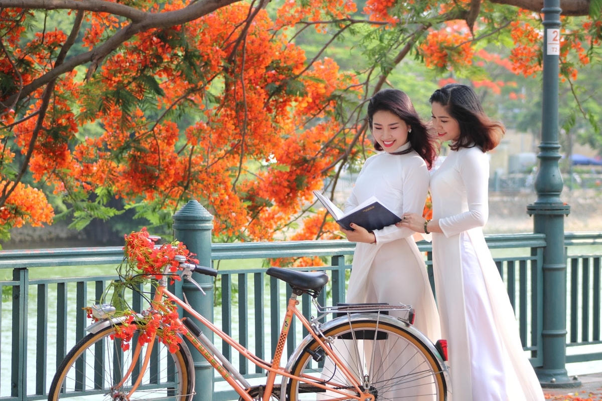 Hương nắng