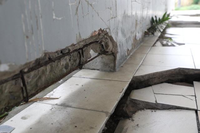 Các bức tường chạy dọc hành lang bị nứt nẻ, xô lệnh.  
