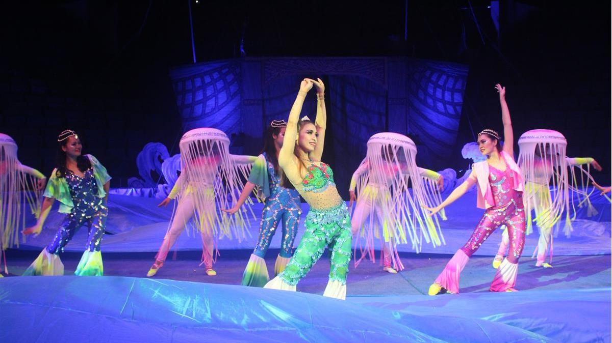 Liên đoàn Xiếc Việt Nam huỷ 38 show diễn vì dịch Covid-19