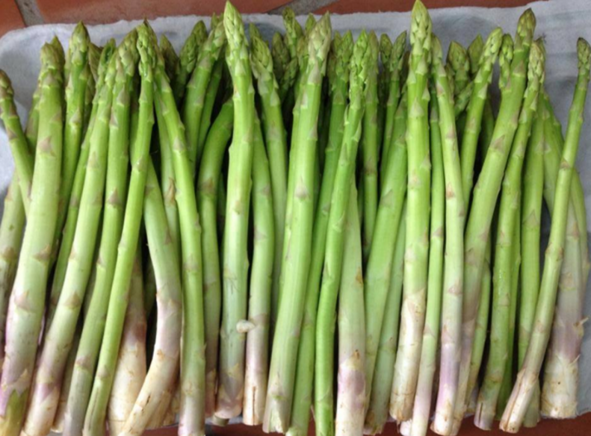 Điểm danh 10 loại rau củ không chứa đường, càng ăn càng eo thon dáng đẹp