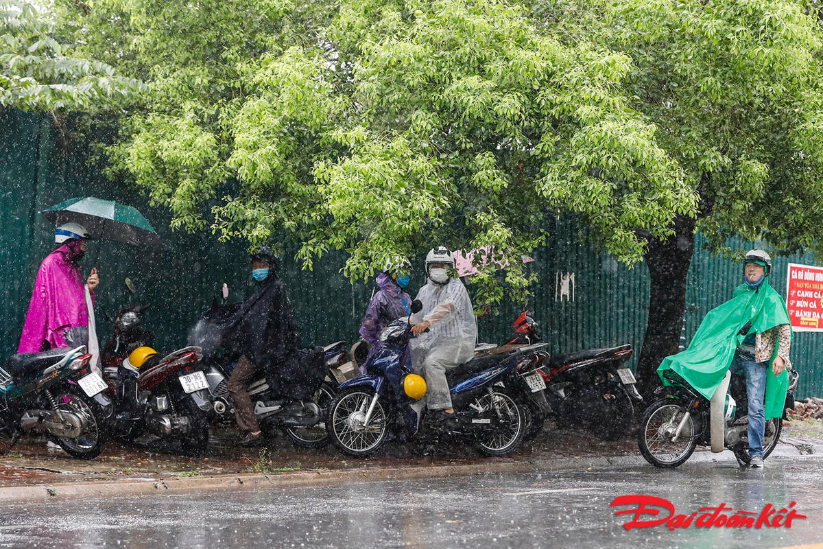[ẢNH] Phụ huynh dầm mưa cùng thí sinh ngày thi cuối vào lớp 10