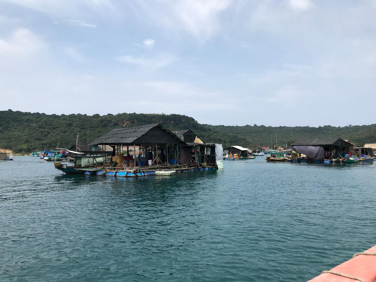 Những lồng nuôi cá bớp ở Hòn Chuối.