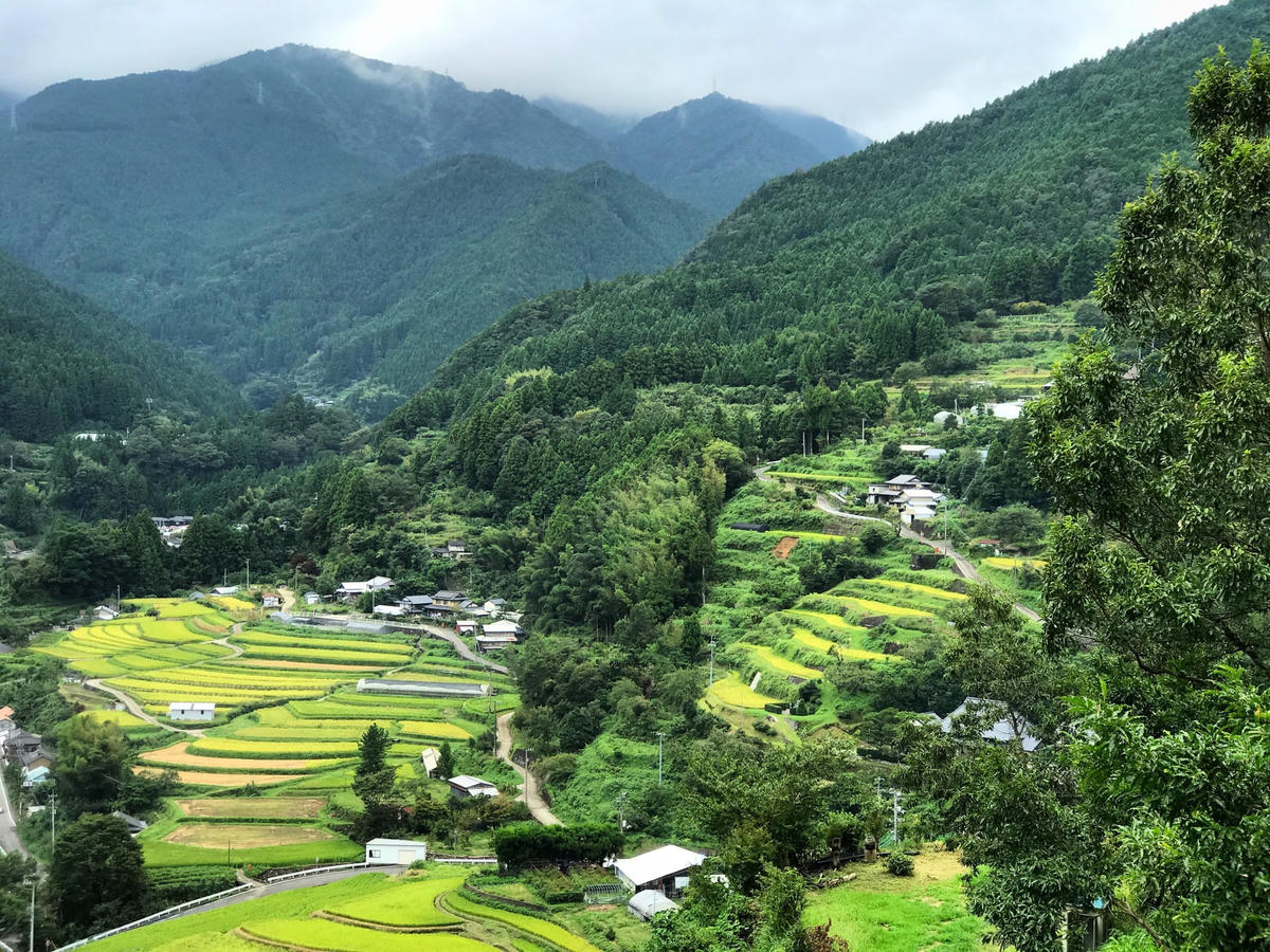 Thị trấn Kamikatsu – trái tim xanh ‘không rác thải’ của Nhật Bản. Ảnh: WHYY.