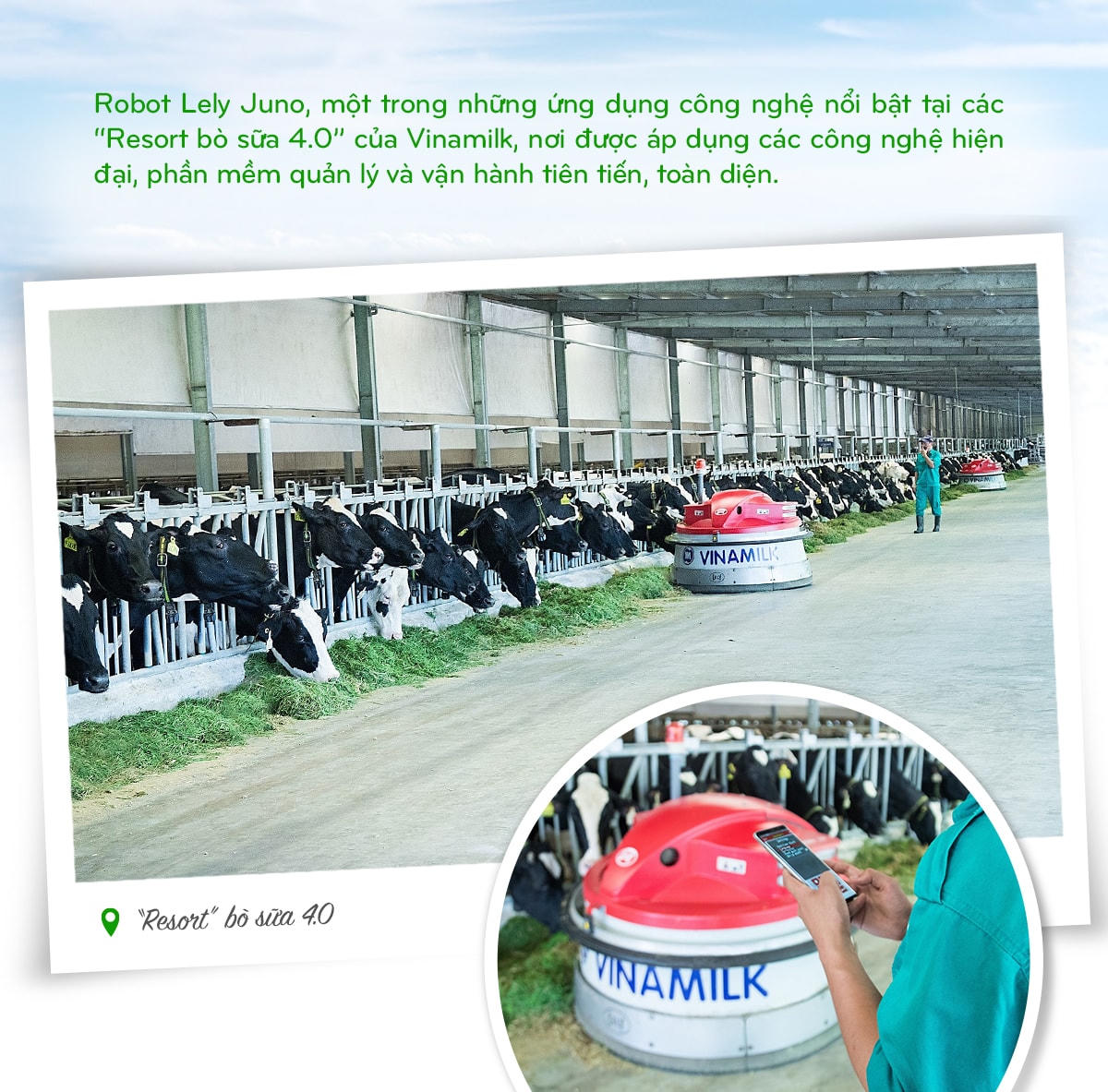Vinamilk: 15 năm xây hệ thống trang trại bò sữa với 'bộ sưu tập' tiêu chuẩn quốc tế