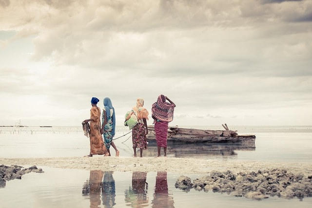 Nhiếp ảnh gia Dariusz Ociepa chụp bức ảnh này tại Jambiani, Tanzania.  