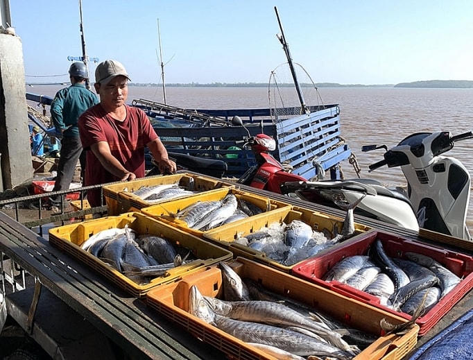 Việc khai thác nguồn lợi hải sản có trách nhiệm là cần thiết vì mục tiêu phát triển bền vững.