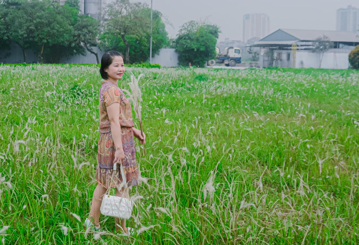Tranh thủ buổi sáng đi làm từ sớm để chụp bộ ảnh, chị Nguyễn Tuyến Mai (quận Bắc Từ Liêm) chia sẻ: “Ngày hôm qua đi làm về tôi mới để ý thấy ngay gần nhà có một cánh đồng cỏ lau đẹp đến vậy. Khung cảnh đẹp tự nhiên, thơ mộng, yên tĩnh, mát mẻ ở ngay gần nhà mà nay tôi mới biết đến”.