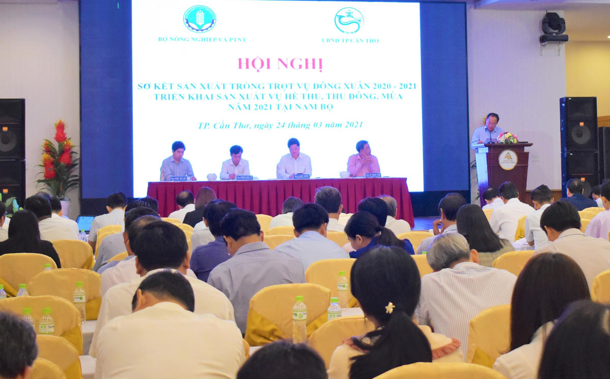 Quàng cảnh hội nghị sơ kết sản xuất trồng trọt vụ Đông Xuân năm 2020 - 2021 triển khai sản xuất vụ hè thu, thu đông, năm 2021 tại Nam Bộ.
