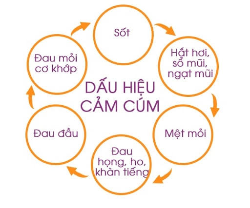Sơ đồ bệnh cảm cúm - loại bệnh thường gặp mùa Thu Đông.