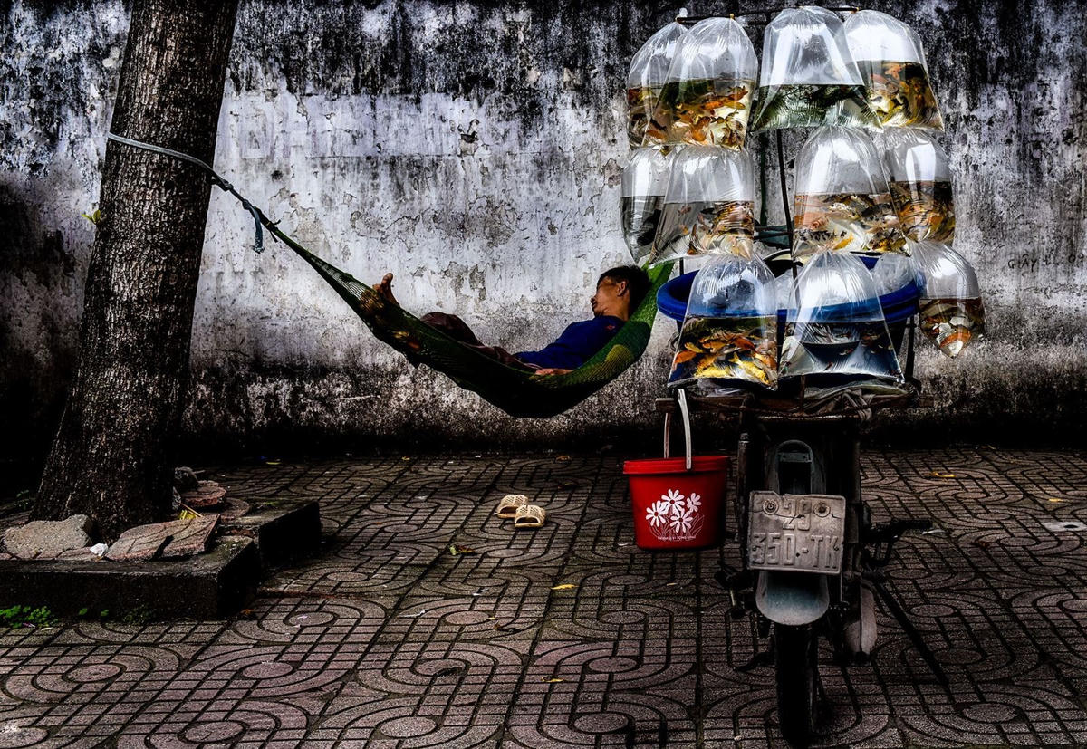 Việt Nam giành 2 Huy chương tại cuộc thi ảnh quốc tế