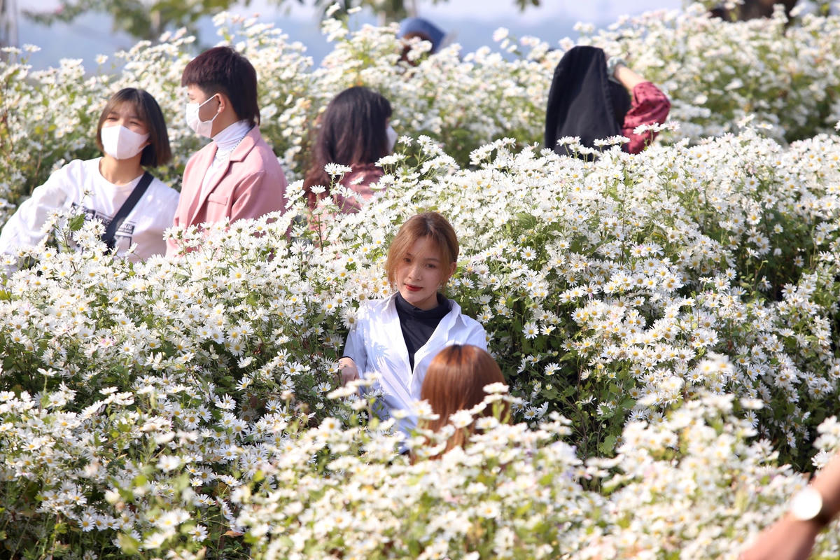 Các bạn trẻ “đổ” về phim trường Rose Garden chụp ảnh trong ngày cuối tuần.