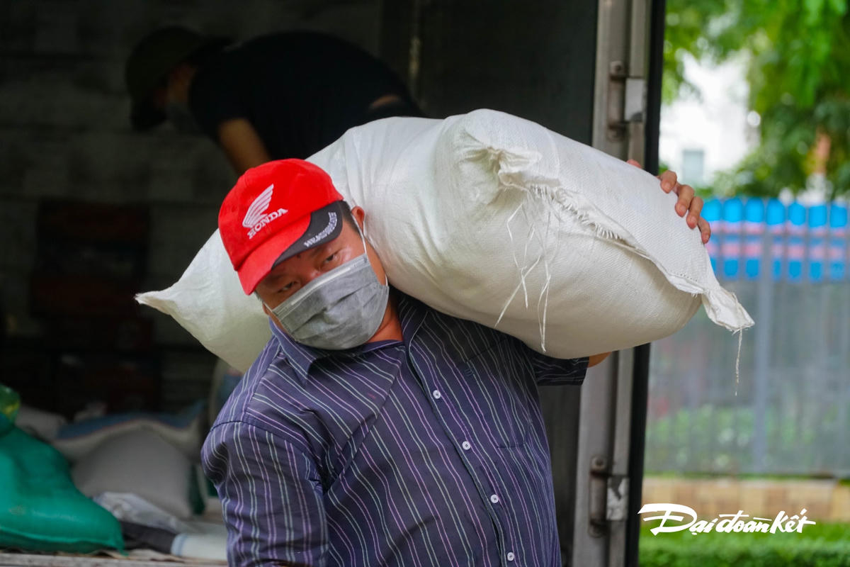 Công tác vận chuyển, phân loại diễn ra nhanh chóng nhờ có thêm lực lượng tình nguyện.