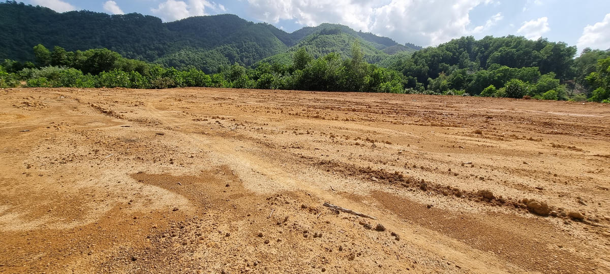 Ngọn đồi sau khi bị san gạt, đã một năm nay không được trồng cây thay thế. Ảnh: Nam Anh.