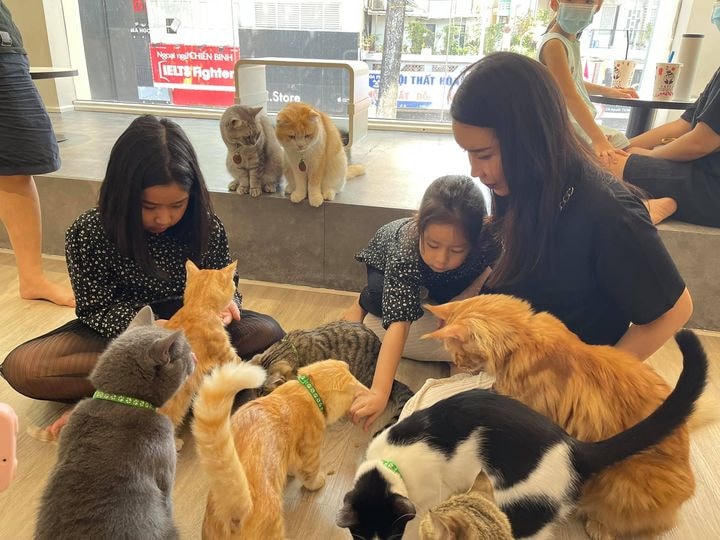 Lưu Hương Giang cùng 2 công chúa nhỏ có một ngày chơi đà vui vẻ bên những chú mèo dễ thương.