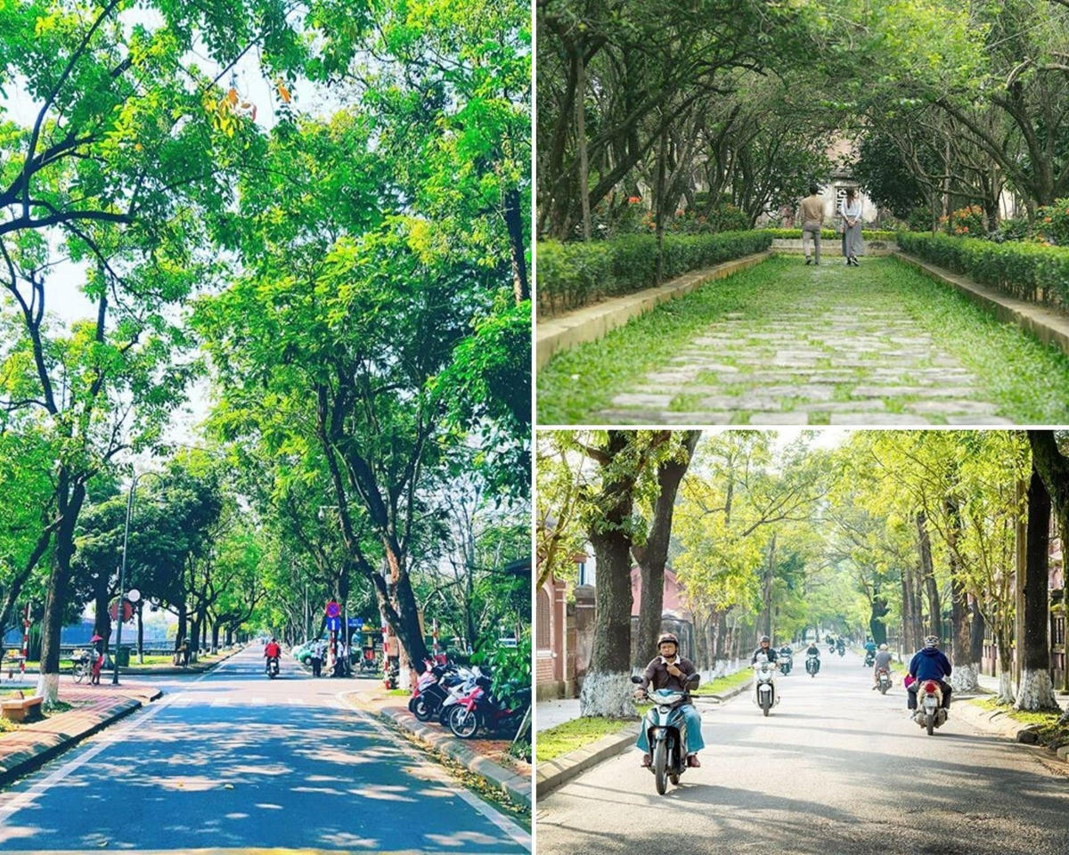 Nét đặc trưng ở Huế là những con đường rợp bóng cây xanh, những nhà vườn ẩn hiện sau tán lá (Ảnh: @ton.nguyen.nguyen, @donghovy87, @bi_tabu)  