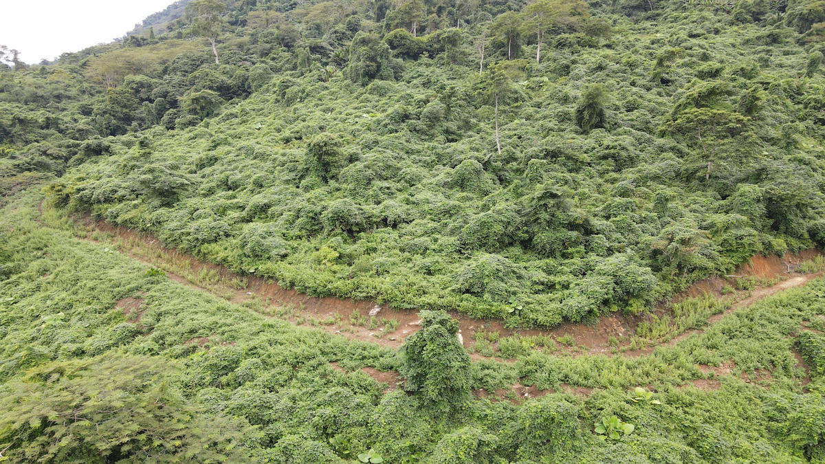 Tuyến đường dài hơn 1,3km mở trái phép, xâm phạm vùng lõi Vườn Quốc gia Ba Bể.