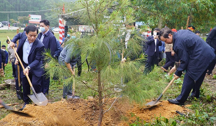 Bí thư Tỉnh uỷ Thừa Thiên-Huế Lê Trường Lưu (bìa phải) tham gia trồng cây đầu xuân. Ảnh: N. Minh.