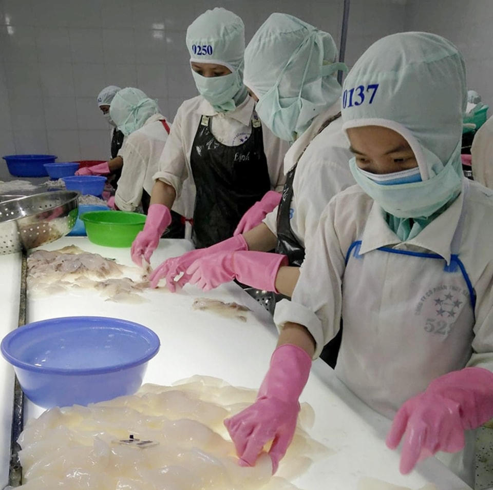 Xuất khẩu mực và bạch tuộc sang Mỹ tăng phi mã trong tháng 5.