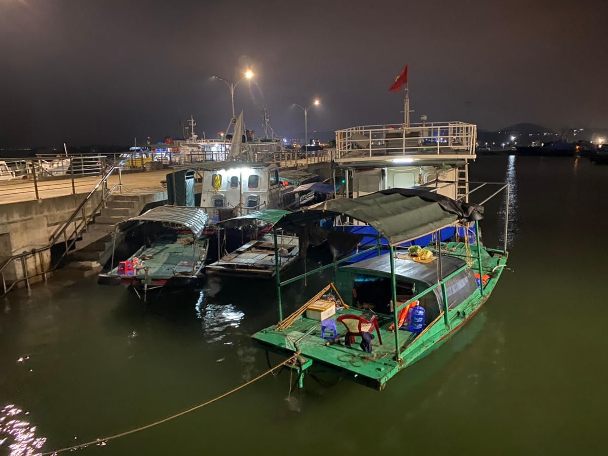 Các phương tiện vi phạm.