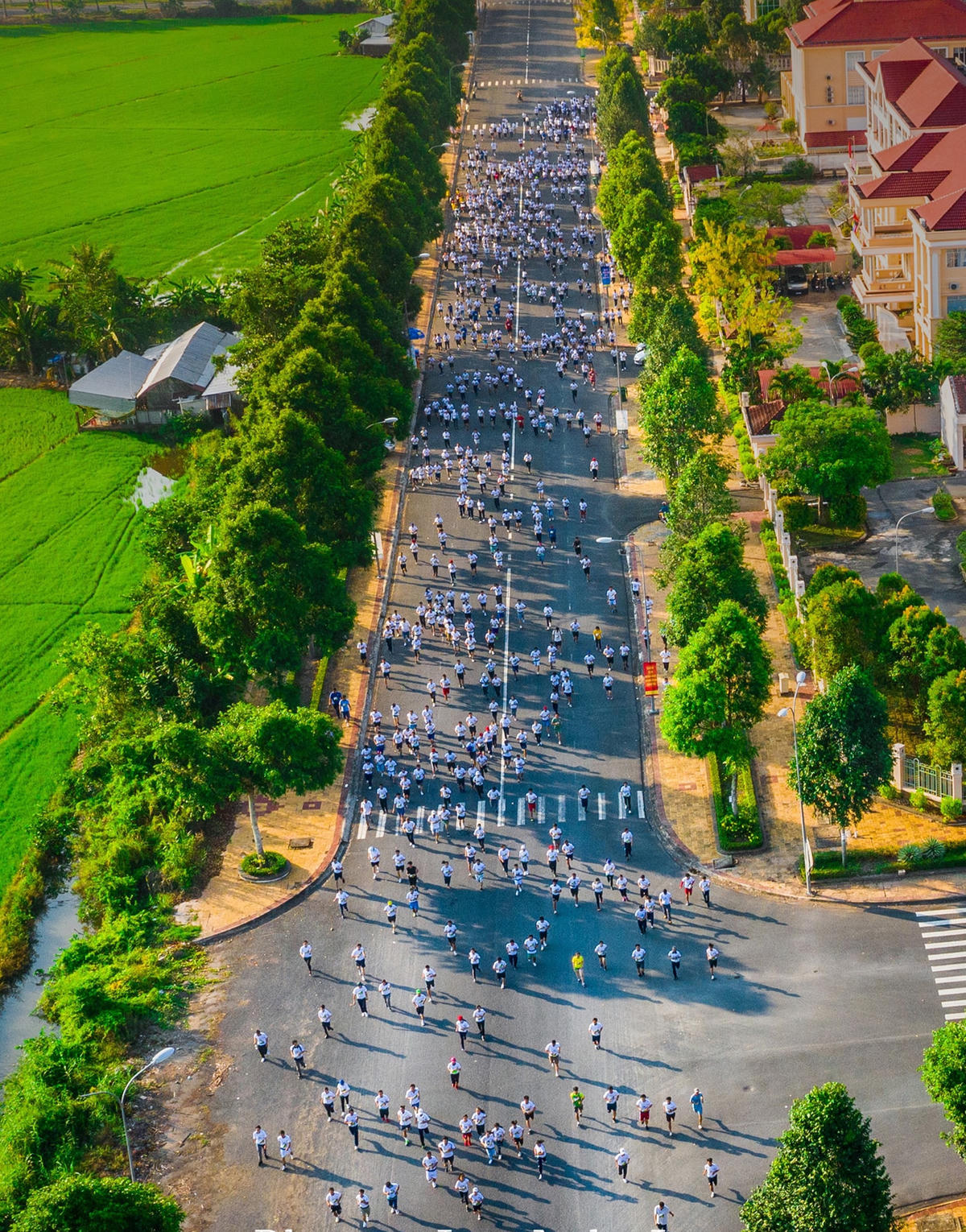 Hậu Giang: Gần 7.200 vận động viên tham gia chạy Mekong Delta Marathon  