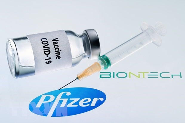 Hình ảnh mô phỏng vaccine ngừa Covid-19 do hãng dược phẩm Pfizer của Mỹ và BioNTech của Đức hợp tác phát triển. (Ảnh: AFP/TTXVN)..