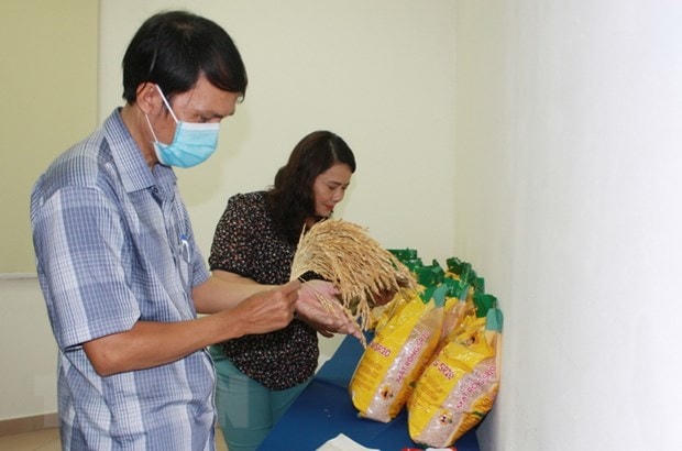 Gạo Mắt rồng nhận được sự quan tâm của người dân. Ảnh: TTXVN.