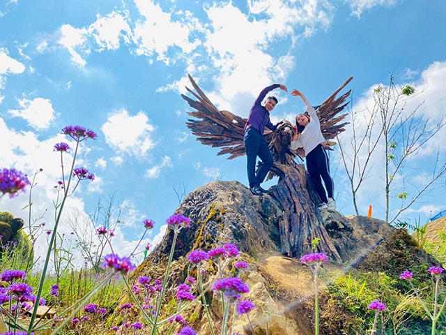 Fansipan mùa lúa chín đẹp ngất ngây