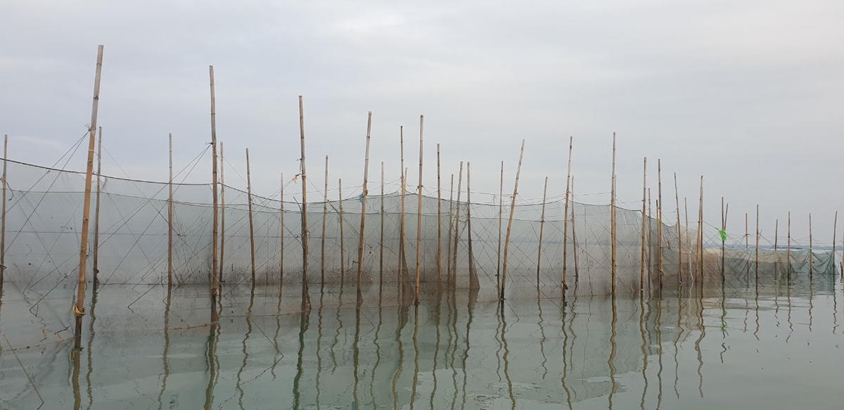 Những bức tường thành lưới săm tận diệt thủy sản ở vùng biển huyện Hải Hà.