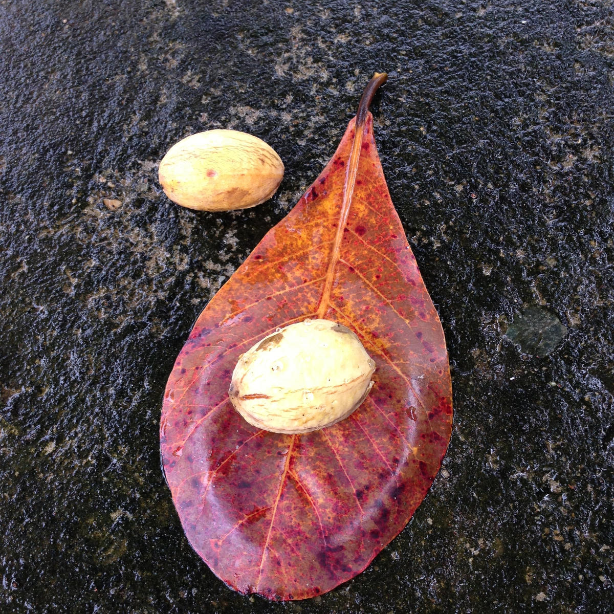 Ghép lại những điều nho nhỏ