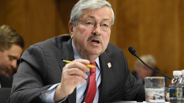 Đại sứ Mỹ tại Trung Quốc Terry Branstad (Ảnh: Reuters).