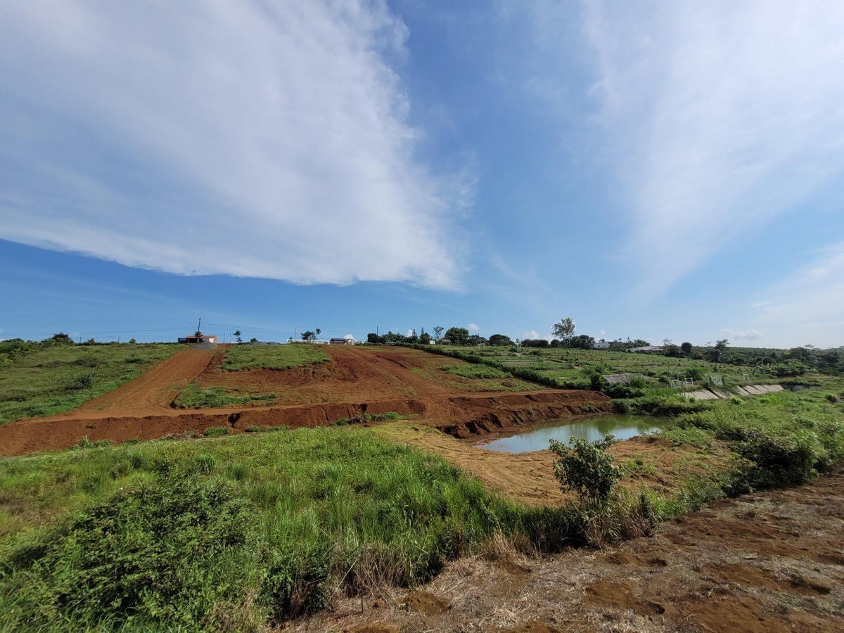 Hỗn loạn phân lô bán nền ở TP.Bảo Lộc