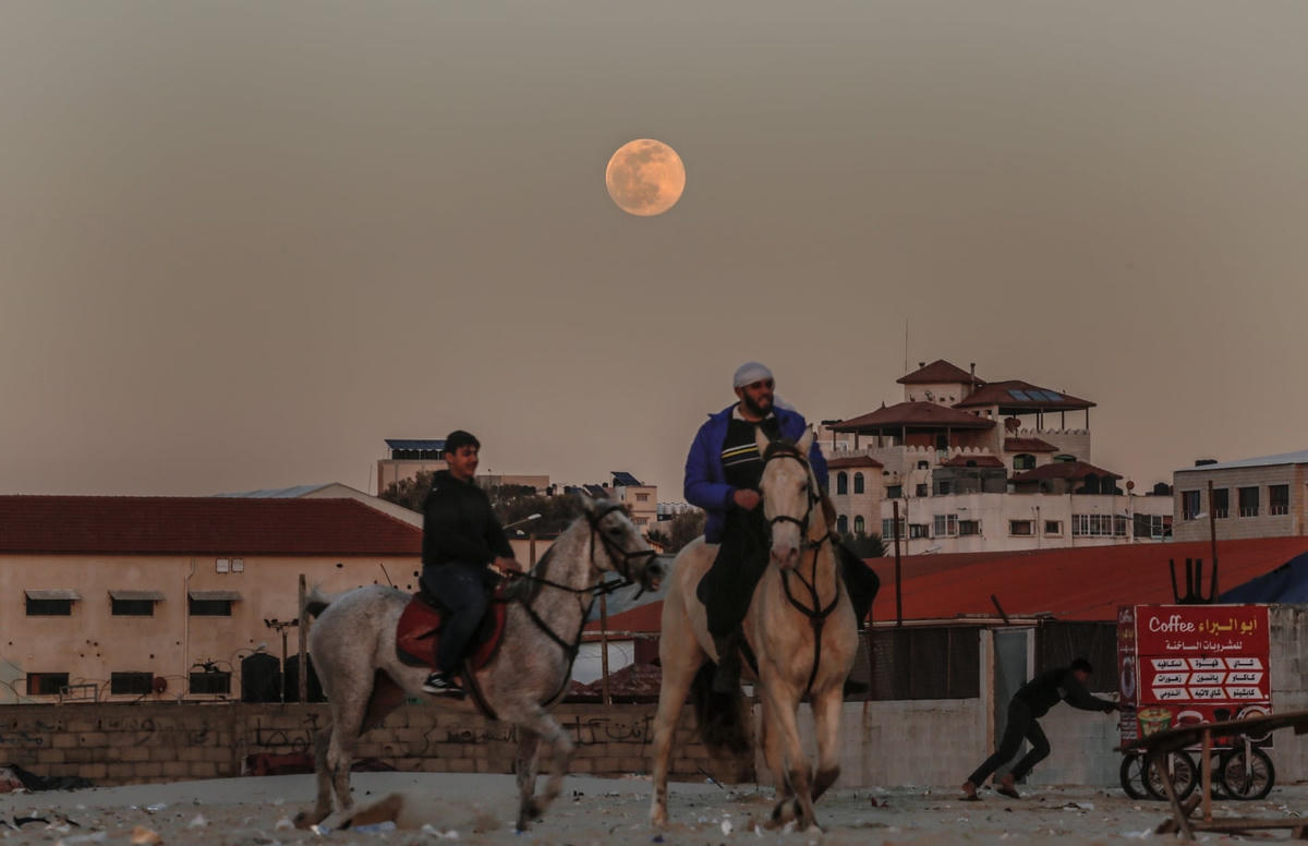 Người dân Palestine cưỡi ngựa dọc bãi biển Gaza khi Trăng Rằm mọc. Ảnh: Sameh Rahmi / NurPhoto / Rex / Shutterstock.