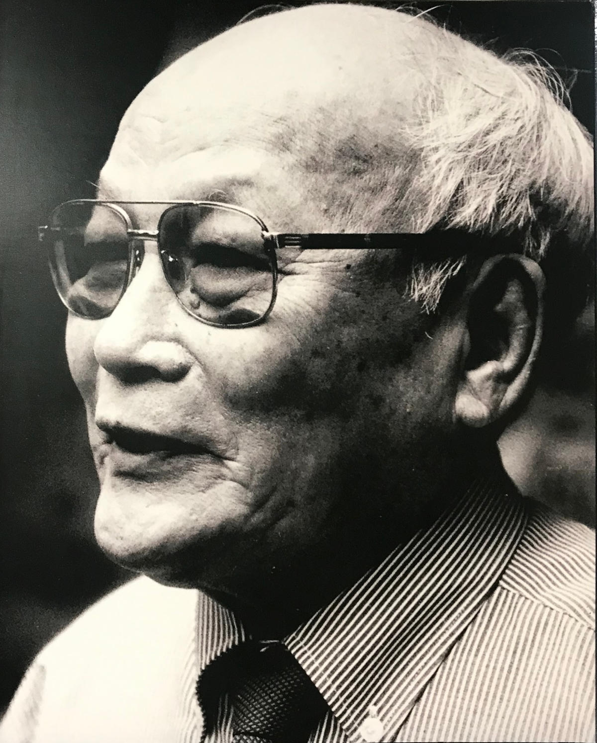 Nhà văn Tô Hoài.