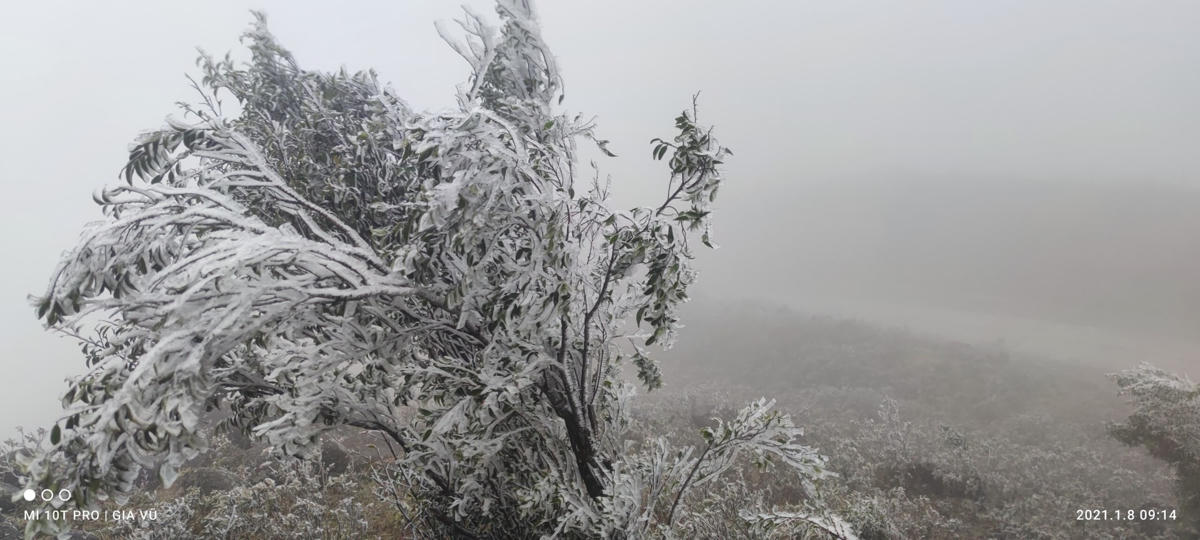 Những ngày tới dự báo thời tiết tiếp tục rét đậm, rét hại, có thể gây ra băng giá, mưa tuyết.