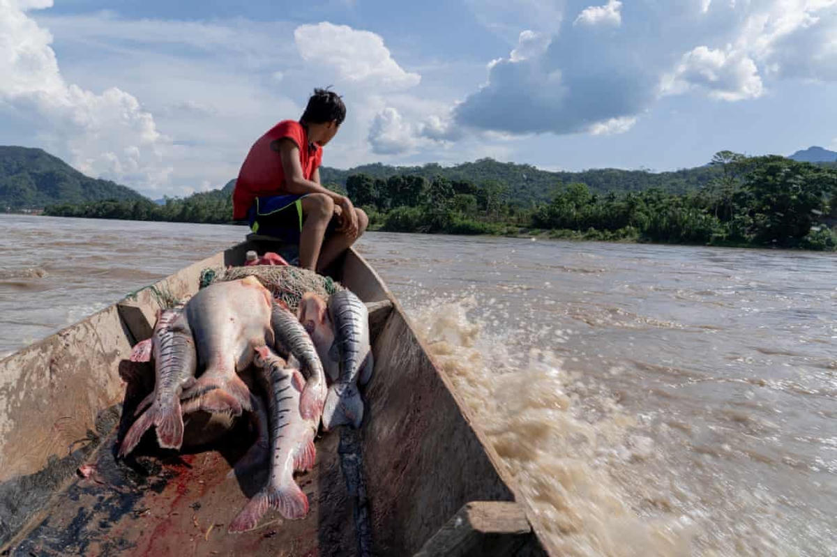 Một cậu bé người Esse Ejja chở cá của mình bán một thương lái bên ngoài thị trấn. Ảnh: The Guardian.
