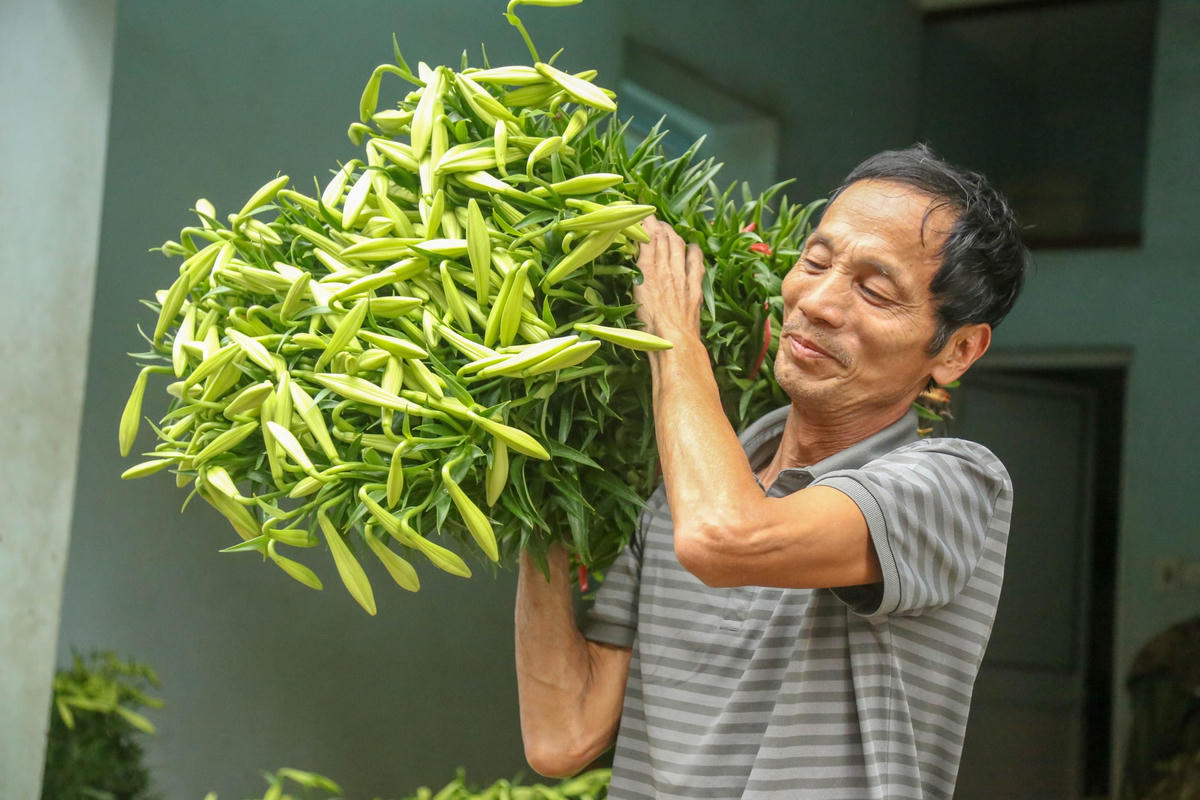 Người dân hy vọng một mùa bội thu. Ảnh: L.A.