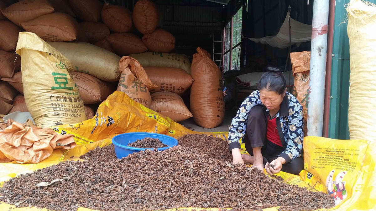 Phân loại sản phẩm nhập về. Ảnh: Minh Quân.