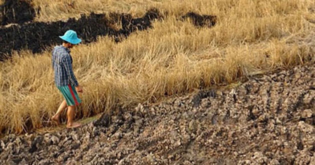 Biến đổi khí hậu làm trầm trọng tình trạng sa mạc hóa và hạn hán.