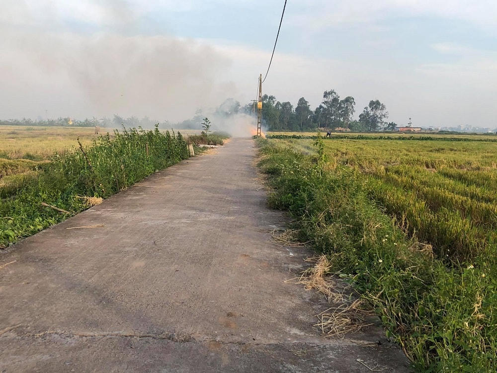 Nguy cơ cháy, chập điện rất cao vì rơm được đốt gần các cột điện có đường dây thấp.