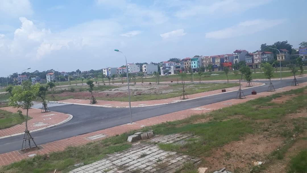 Đất dự án định phân lô.