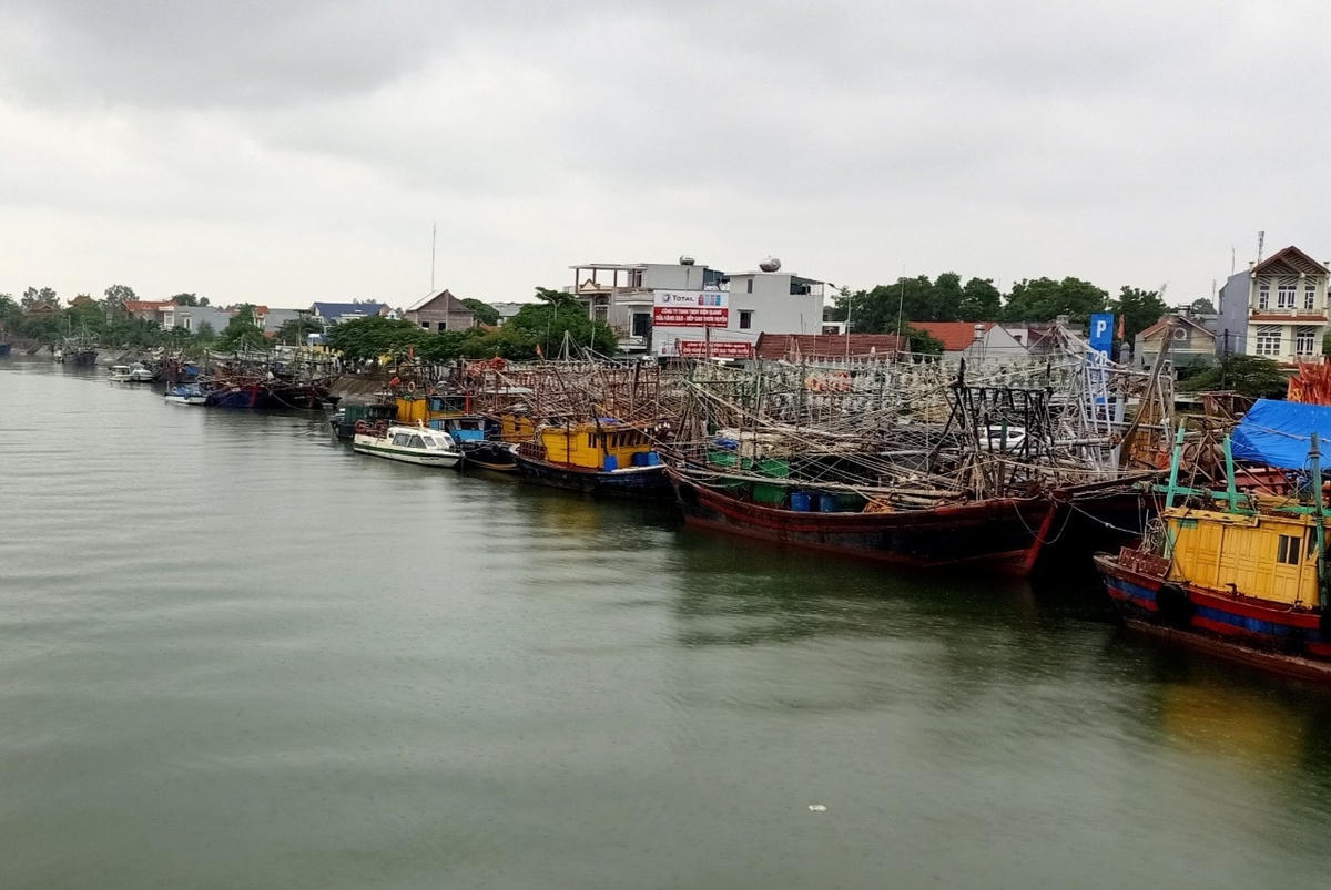Hàng trăm tàu cá đã tập trung tại khu vực cầu Hà Cối, Hải Hà tránh áp thấp nhiệt đới. 
