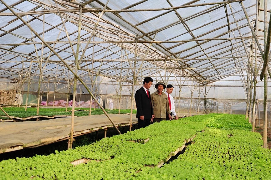 Luôn đồng hành với bà con nông dân trong nhiều năm qua, Agribank thực sự là điểm tựa vững chắc cho người nông dân.